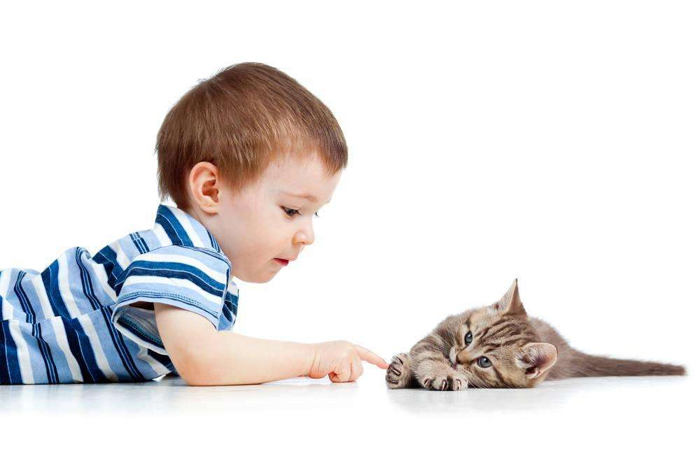 常抱怨孩子不聽話？是因為你不會這么說...