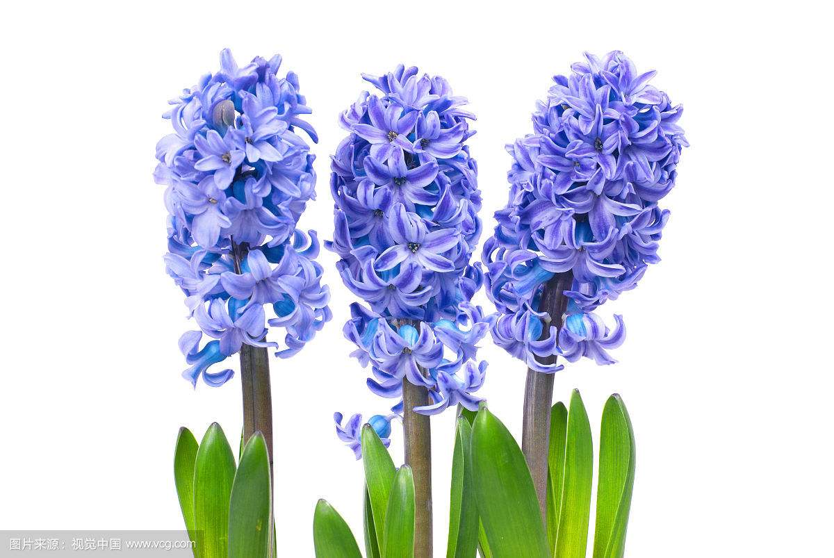 女神節(jié)到了，致敬美麗的幼兒園老師！