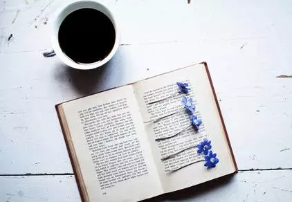 1521247922748065.jpg 640.webp (1).jpg